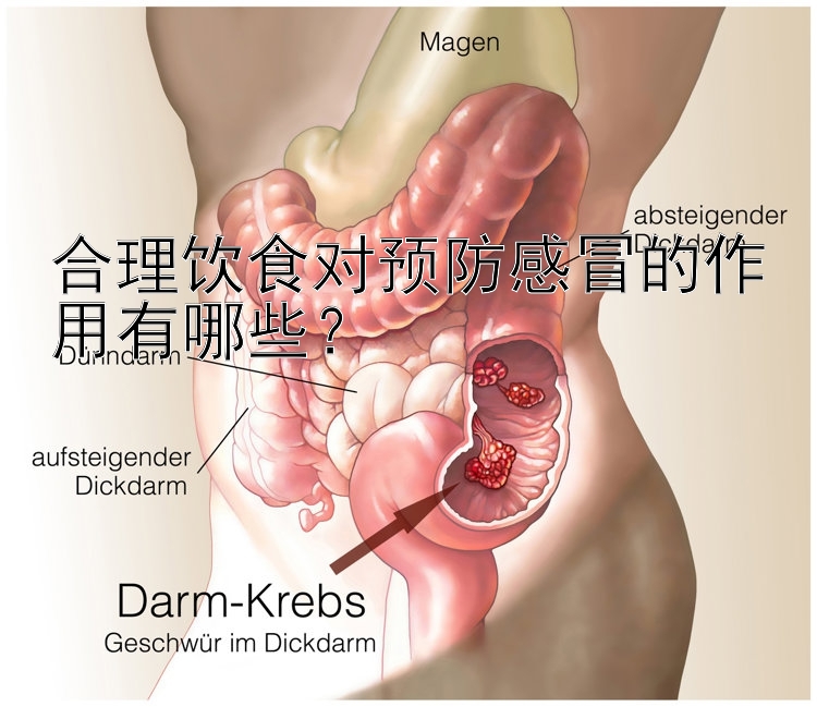 合理饮食对预防感冒的作用有哪些？