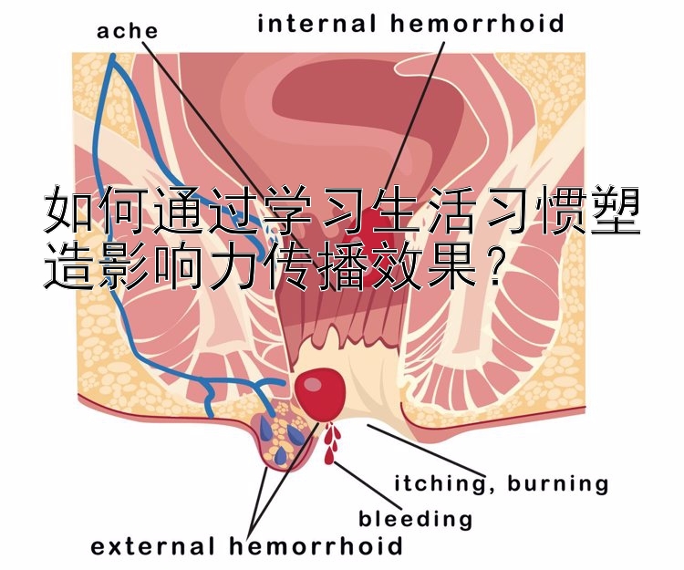 如何通过学习生活习惯塑造影响力传播效果？