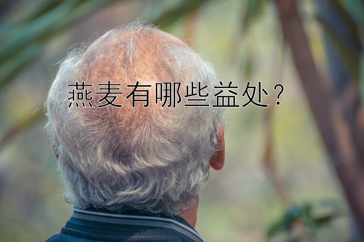 燕麦有哪些益处？