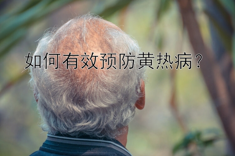 如何有效预防黄热病？