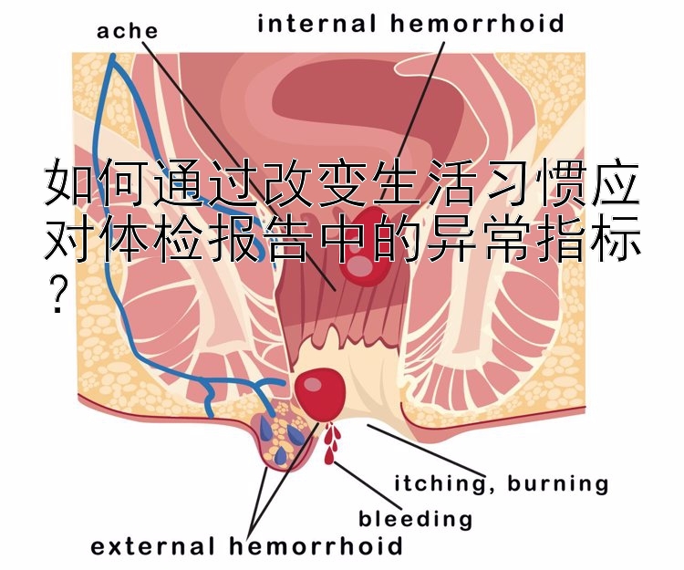 如何通过改变生活习惯应对体检报告中的异常指标？