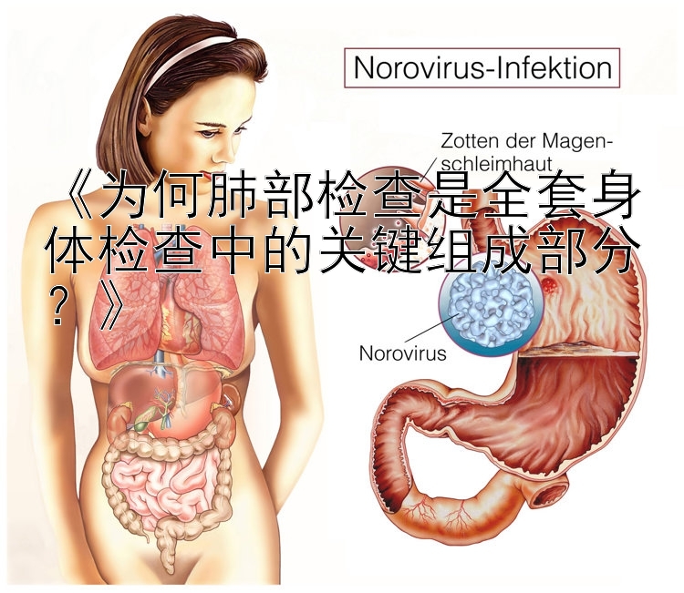 《为何肺部检查是全套身体检查中的关键组成部分？》