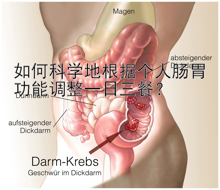 如何科学地根据个人肠胃功能调整一日三餐？