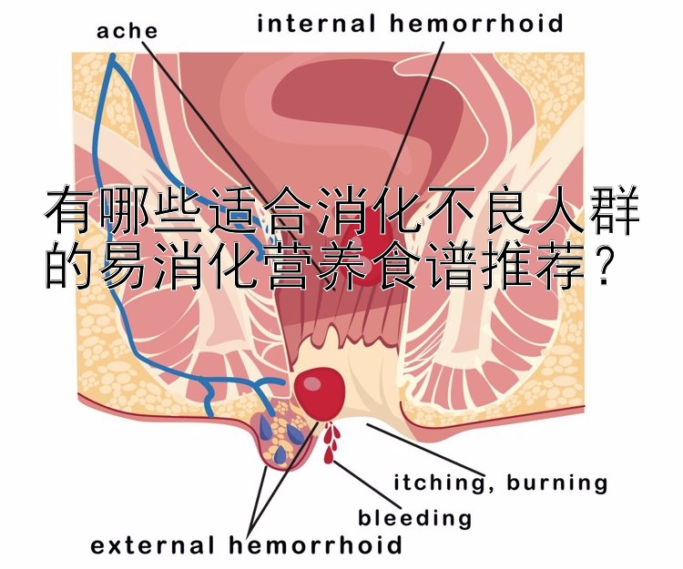 幸运飞艇有哪些适合消化不良人群的易消化营养食谱推荐？